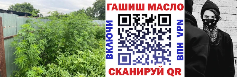 Дистиллят ТГК концентрат blacksprut маркетплейс Бодайбо
